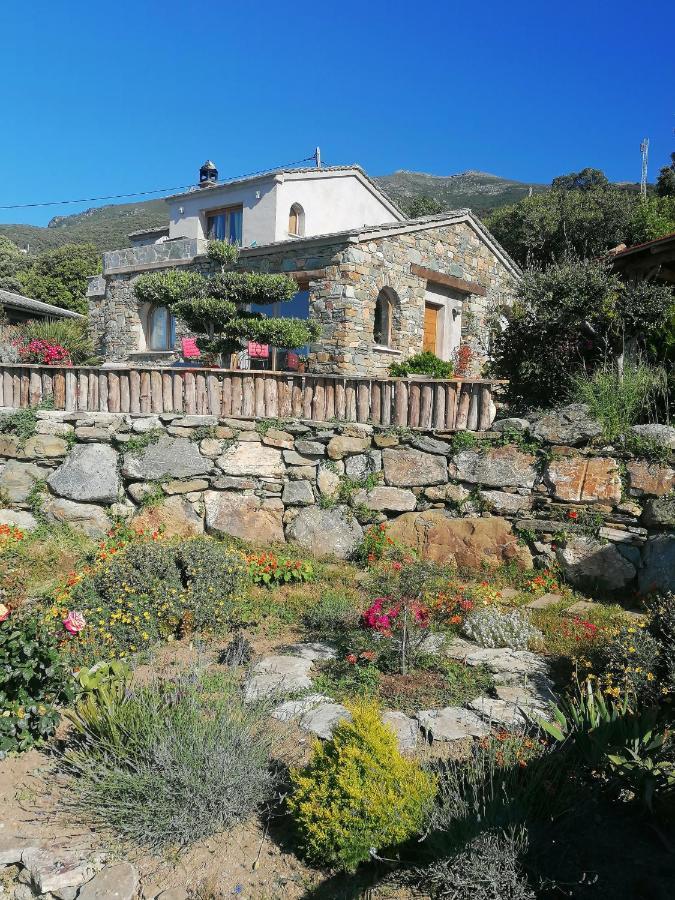 Logement De Charme Avec Piscine Privative Pino Eksteriør bilde